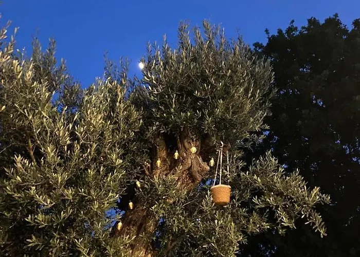 Myrteni בית נופש