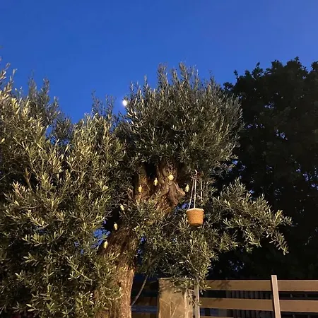 Myrteni Casa vacanze